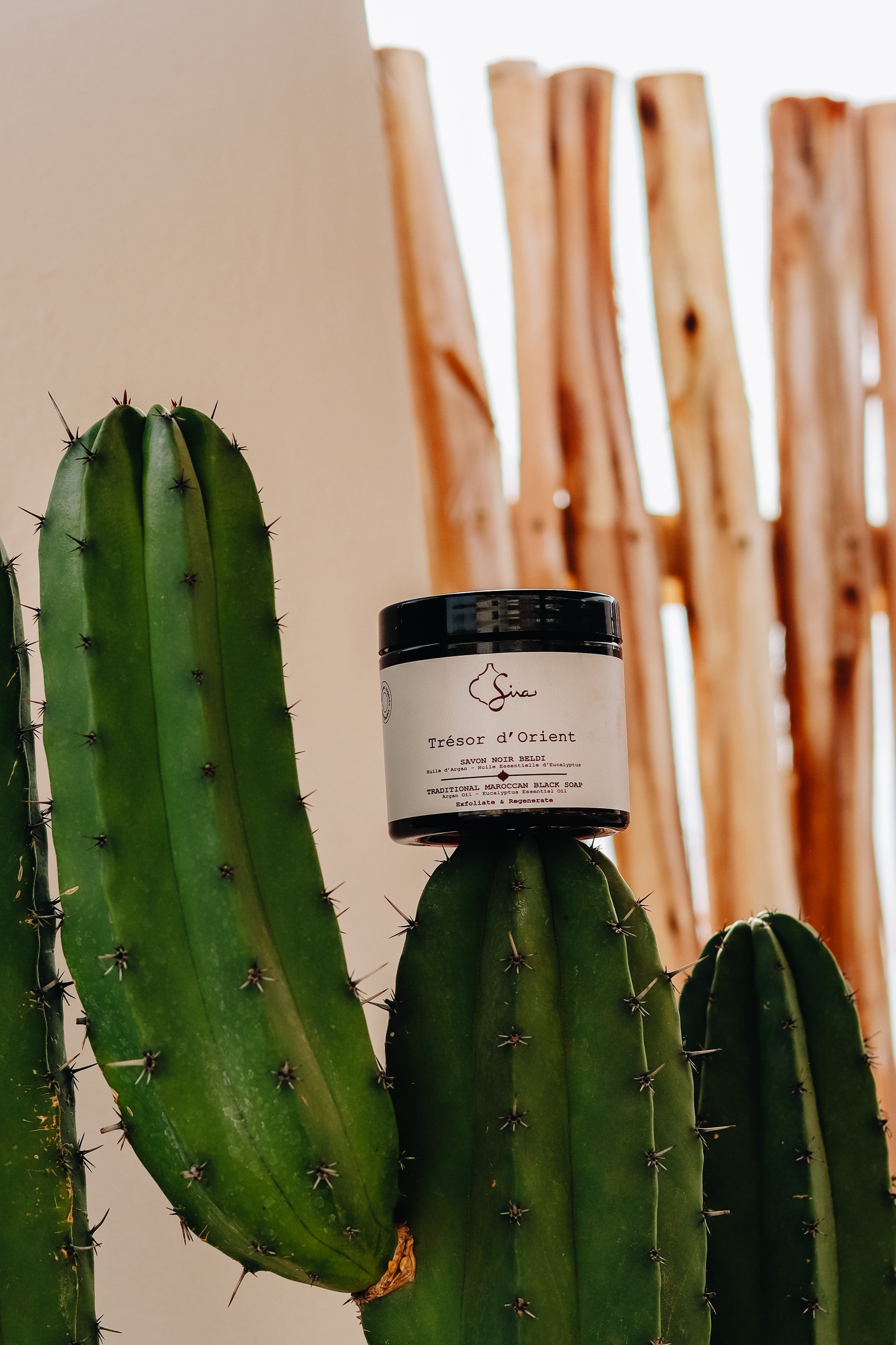 Savon Noir Beldi à l’Eucalyptus – Trésor d’Orient